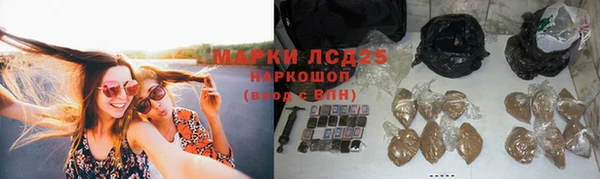 мяу мяу мука Балабаново